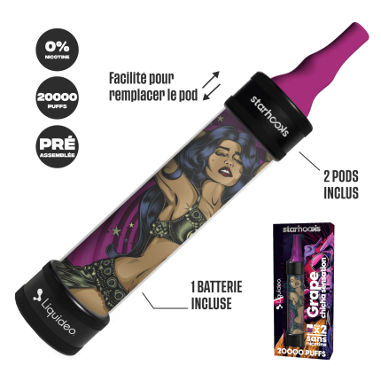 Starter Kit CHICHA Raisin - (Batterie + 2 Pods 10000) Starter Kit CHICHA Raisin - (Batterie + 2 Pods 10000)